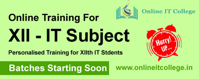 Online XII IT Subjects